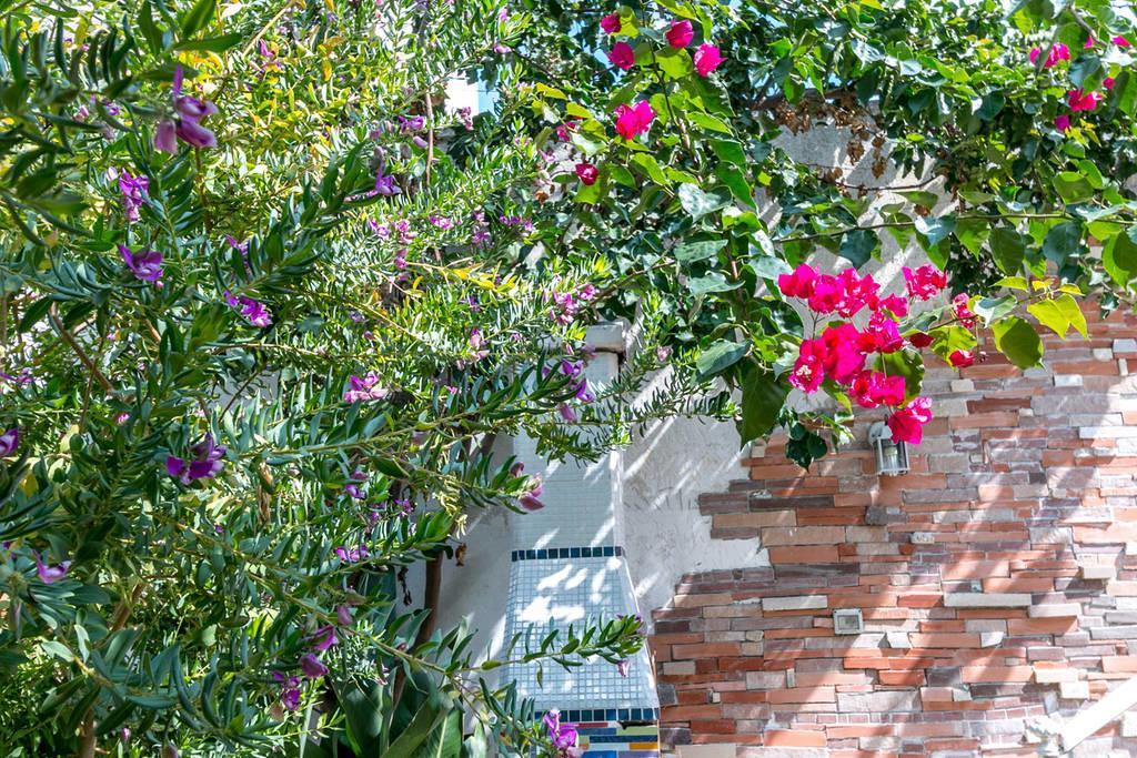 Villino Claudia 30 Mt Mare Porto Cesareo Exterior foto